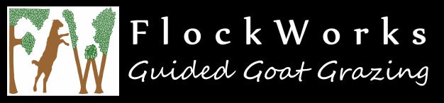 FlockWorks - Guided Goat Grazing